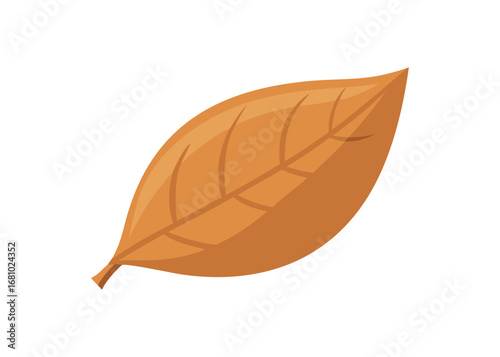 Simple orange leaf with visible veins and stem