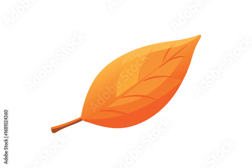 Orange autumn leaf on a transparent background