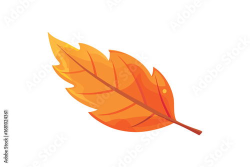 Orange autumn leaf with veins on transparent background