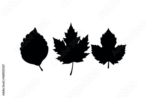 Collection of Three Black Leaf Silhouettes