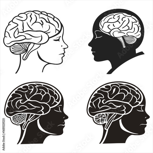 human brain vector