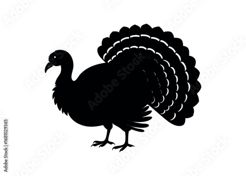 Black Silhouette of a Male Turkey with Fanned Tail on White