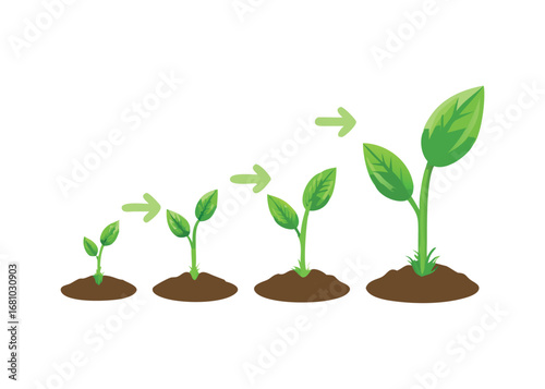 Four stages of plant growth progression with green arrows on transparent background