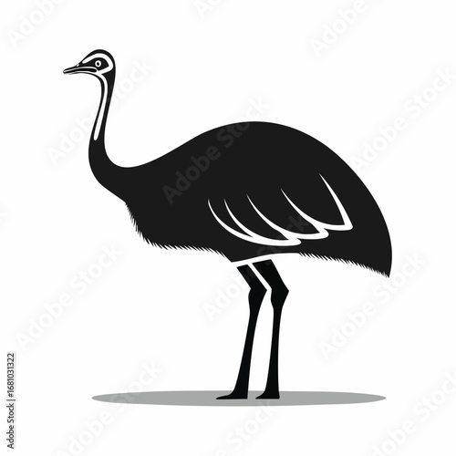 Emu Ostrich image vector. Black and white Emu Ostrich image on white background.