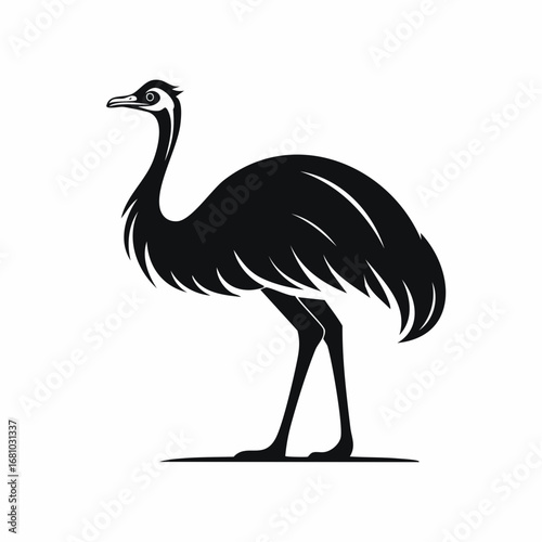 Emu Ostrich image vector. Black and white Emu Ostrich image on white background.