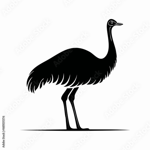 Emu Ostrich image vector. Black and white Emu Ostrich image on white background.