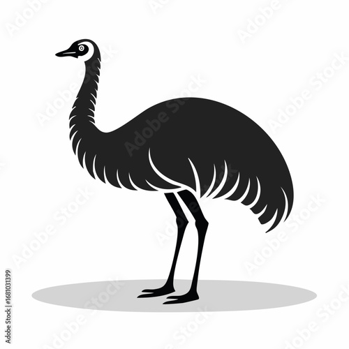 Emu Ostrich image vector. Black and white Emu Ostrich image on white background.