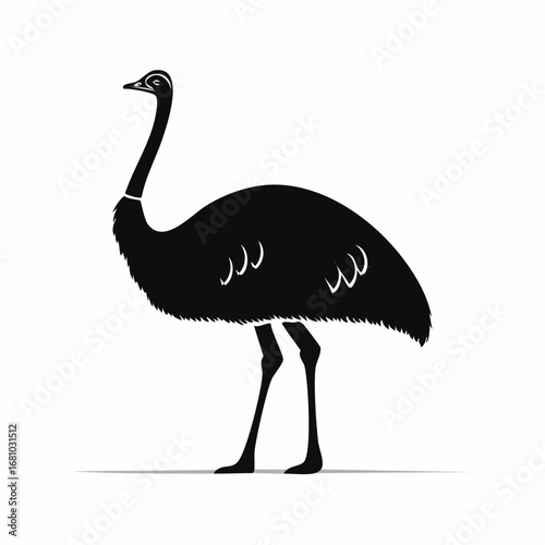 Emu Ostrich image vector. Black and white Emu Ostrich image on white background.
