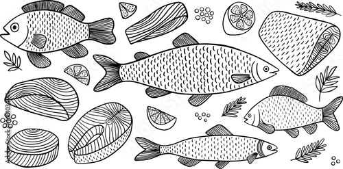Fish sketch set. Hand drawn salmon steak, trout, dorado, and tuna slices vector set. Sea food collection hand drawn style