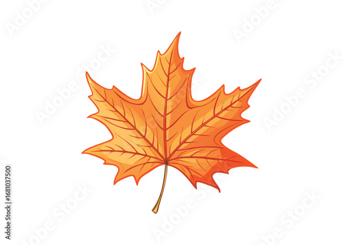 Orange maple leaf with a stem on a transparent background