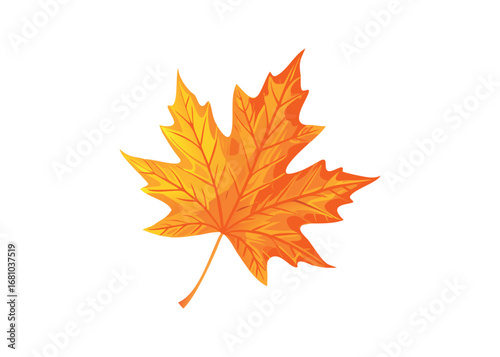 Orange and yellow maple leaf on a transparent background