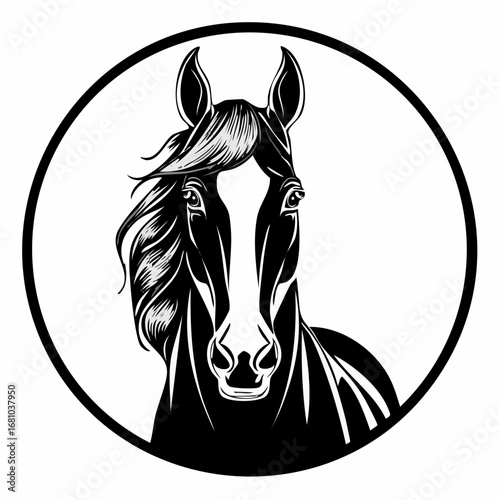 Equestrian Vector Images. Front View Equestrian Vector Images on white background.