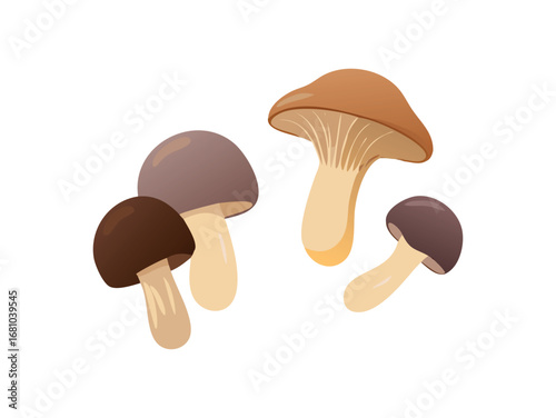 Assortment of Organic Mushroom Illustrations on Transparent Background