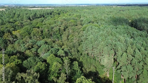 Bird’s-eye view of Delamere Forest woodland canopy, Cheshire, UK.