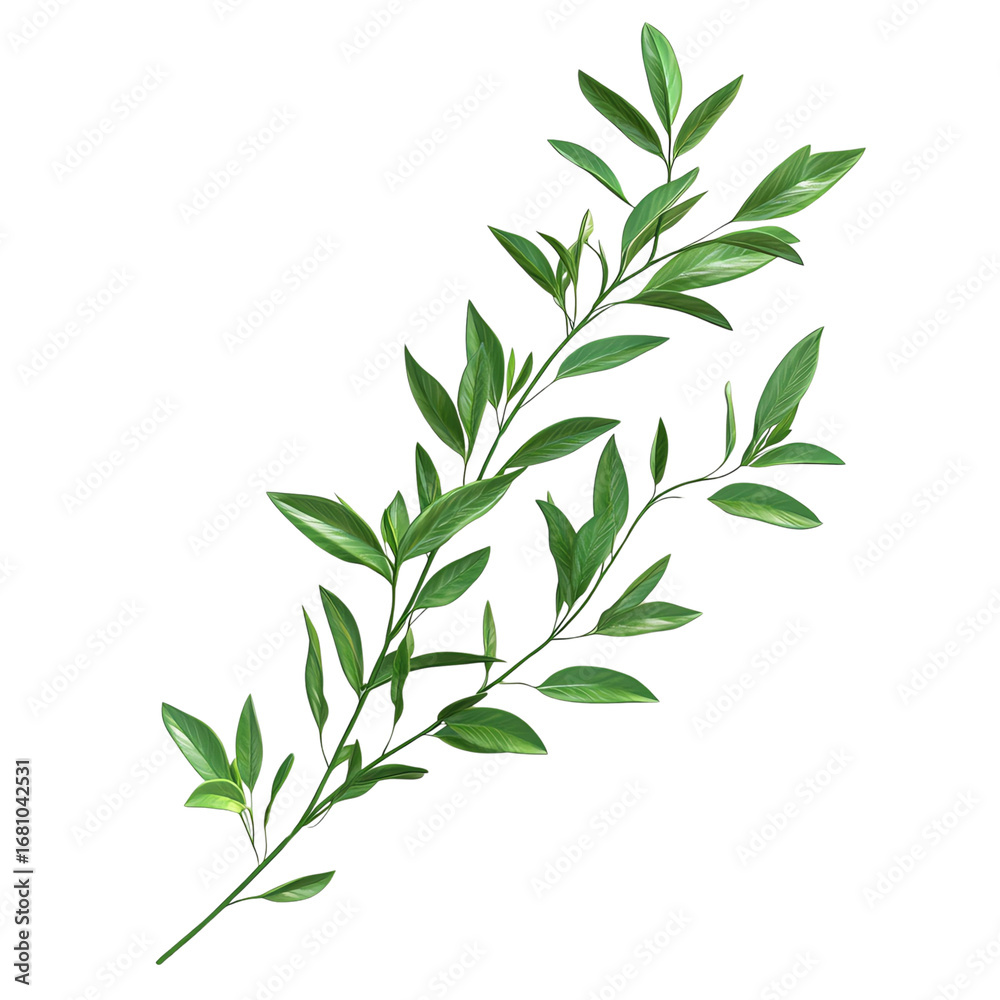 Obraz premium A vibrant green branch with lush leaves, ideal for nature-themed designs and illustrations.