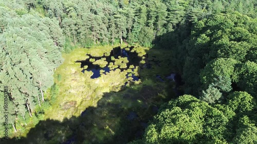 
Stunning aerial view of Delamere Forest woodland canopy, Cheshire, England.
