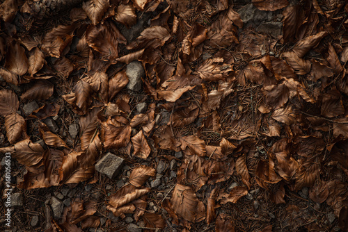 Fallen brown leaves cover the forest floor in autumn, creating a rich texture and a sense of nature's cycle. Spring hiking in Carpathian mountains, Ukraine