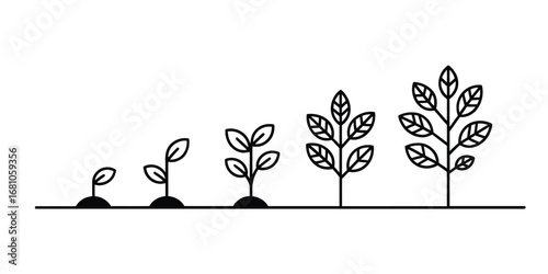 Stages of plant growth from seedling to mature tree in a simple line art illustration