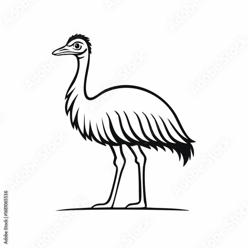 Emu bird simple black line art image, Black bold outline vector icon, Bird vector illustration
