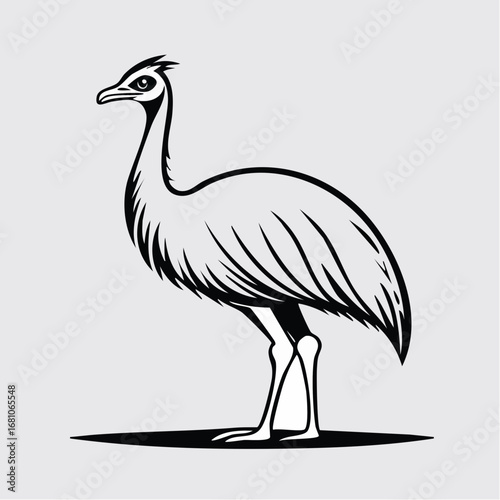 Emu bird simple black line art image, Black bold outline vector icon, Bird vector illustration