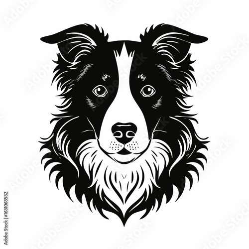 border collie dog black silhouette vector with white background