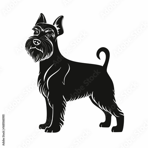 miniature schnauzer dog black silhouette vector with white background