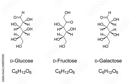Glucose, fructose, and galactose, chemical formulas and molecular structures. The three most important sugar compounds in human metabolism. Monosaccharides. Natta projection of the D-configurations.