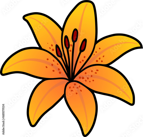 Vibrant orange tiger lilies with green leaves are beautifully illustrated against a clean white background