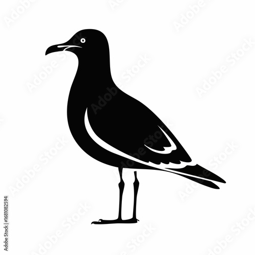 seagull bird black silhouette vector, Simple silhouette Design vector icon with white background. Wild bird