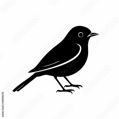 robin bird black silhouette vector, Simple silhouette Design vector icon with white background. Wild bird