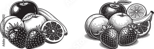 Vector art of assortment of fresh fruits including strawberries, apples, oranges, and bananas, sketch