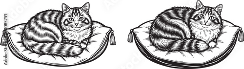 Vector art of two cute cartoon cats lying on cushions
