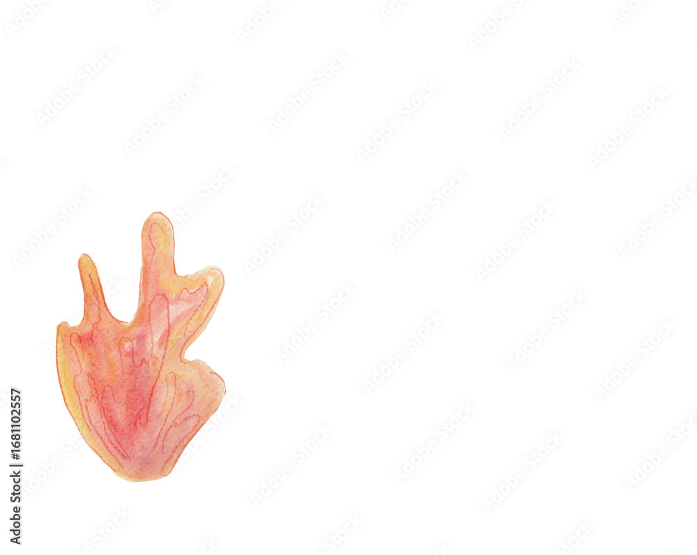Obraz premium Hand-painted watercolor illustration of fire in warm red, orange, and yellow tones. Perfect for creative designs, education, nature themes, and artistic projects. Transparent background included. 