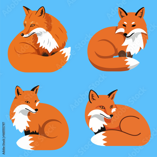 Cute and cunning red fox character set with four different poses, modern flat vector illustration for design