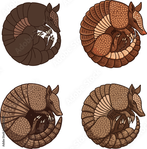 A versatile set of four illustrated armadillos curled in a defensive ball, rendered in various brown tones