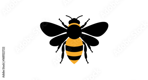 Top down view of a stylized black and yellow striped insect with translucent wings isolated on white