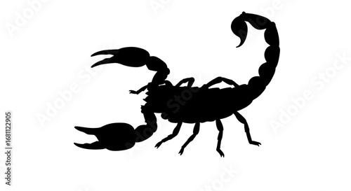 A striking black silhouette of a scorpion with its tail raised and claws extended on a white background