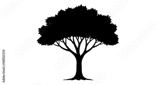Silhouette of a large deciduous tree with a full canopy and visible branches against a white background