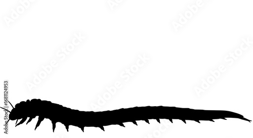Silhouette of a long segmented centipede with many legs crawling on a white background