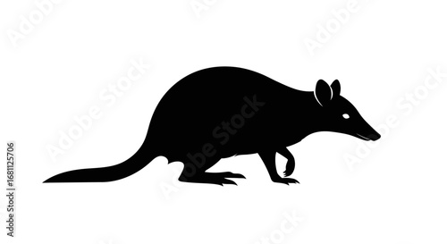 Silhouette of an australian bilby standing on a white background with its distinctive long ears and pointed snout