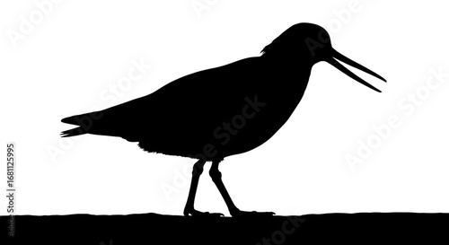 Silhouette of a black bird with a long red beak standing on a dark surface against a white background