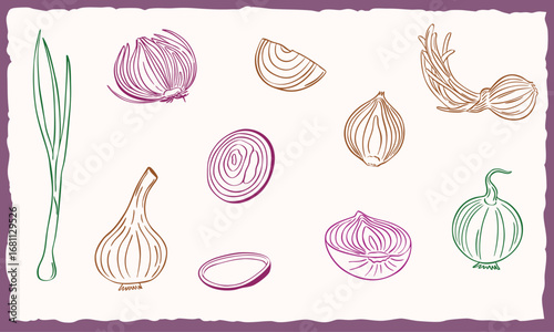 onion doodle hand drawn sketch line art - collection set