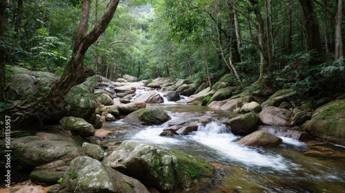 Flowing stream adventure lush forest nature scene serene environment ground-level view tranquil waters