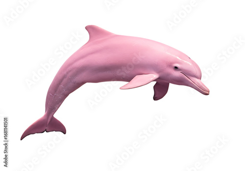 Pink Dolphin Leaping: Aquatic Mammal in Motion isolated on transparent background
