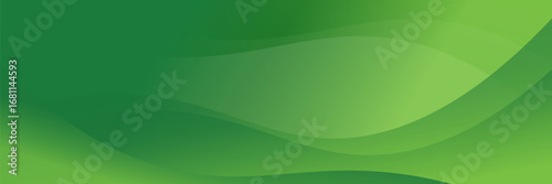 Abstract green wavy background. Vector illustration