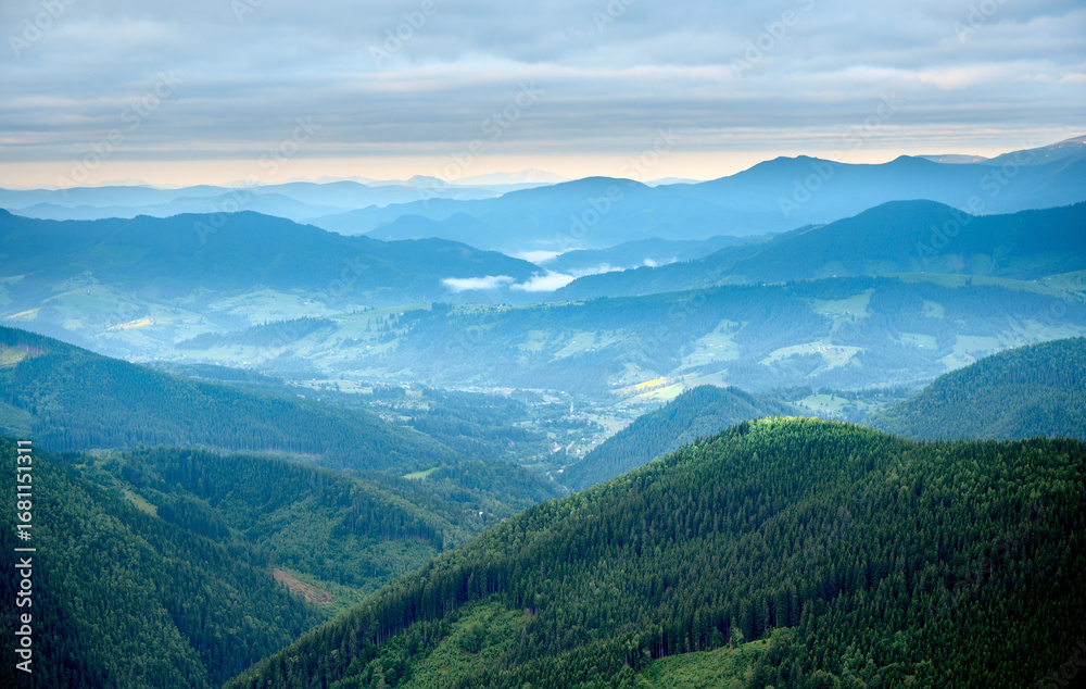 Obraz premium Summer background of the mountains. Breathtaking summer day in wild mountains with coniferous forest and green slopes. Scenic view of the morning mountains. Carpathian vivid landscapes.
