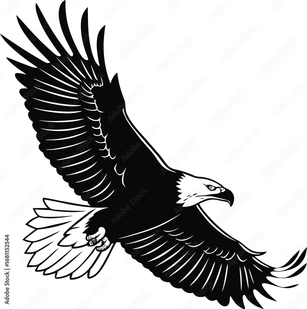 Obraz premium flying bald eagle-black silhouette vector