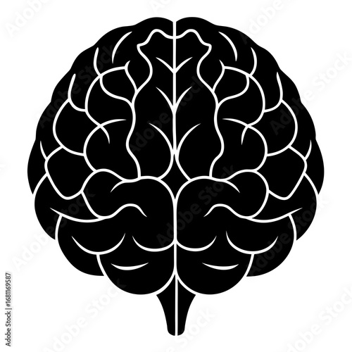 Amygdala Human Brain Anatomy Vector Illustration 