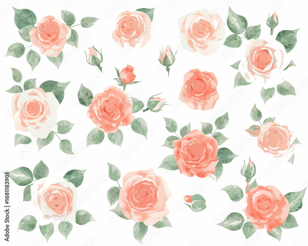 Naklejka premium Soft watercolor roses and buds in delicate peach and cream tones