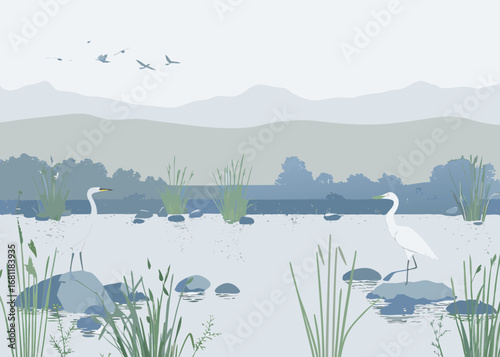 Two elegant white egrets standing in shallow water with reeds and distant mountains